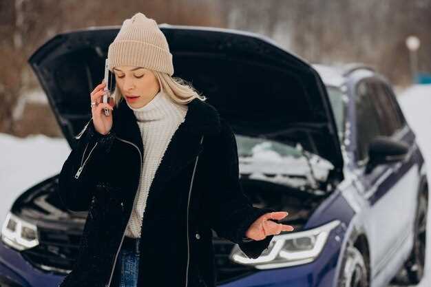 Battery care during cold months