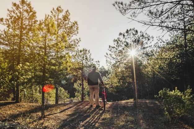 Navigating Safety Protocols for ATV Trail Riding