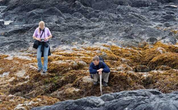 Understanding Terrain Features and Obstacles