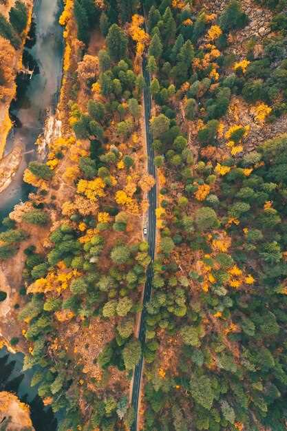 Seasonal Considerations for ATV Riding: Best Times to Visit Trails